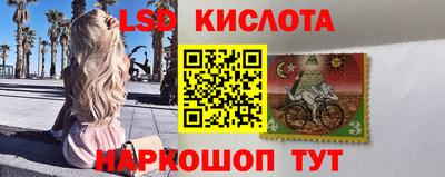 ПСИЛОЦИБИНОВЫЕ ГРИБЫ Будённовск