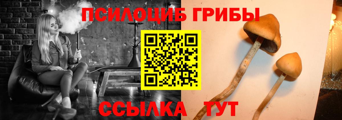 Сатка  Галлюциногенные грибы Psilocybe  что такое наркотик  Вход с VPN 